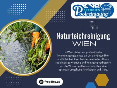 Photos of Freddies Poolreinigung