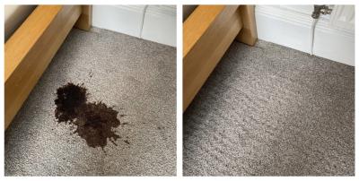 Photos of Carpet Cleaners Edinburgh