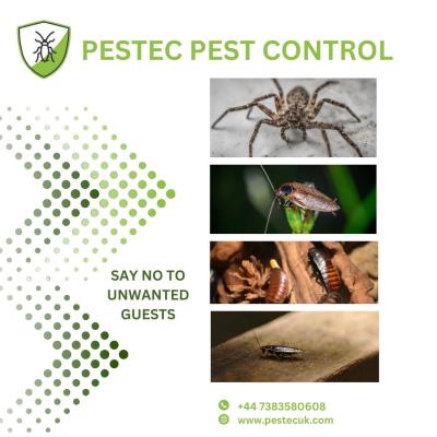 Photos of Pestec Pest Control