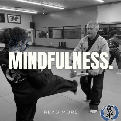 Photos of Meyerland Martial Arts