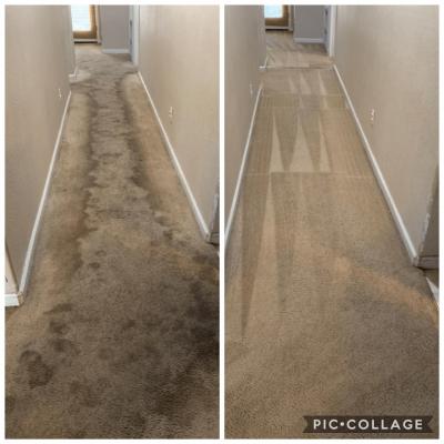 Photos of Steam Master DFW Carpet & Tile Cleaning