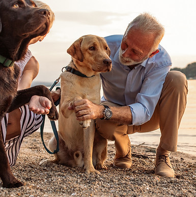 Photos of Virginia Insurance Advisors