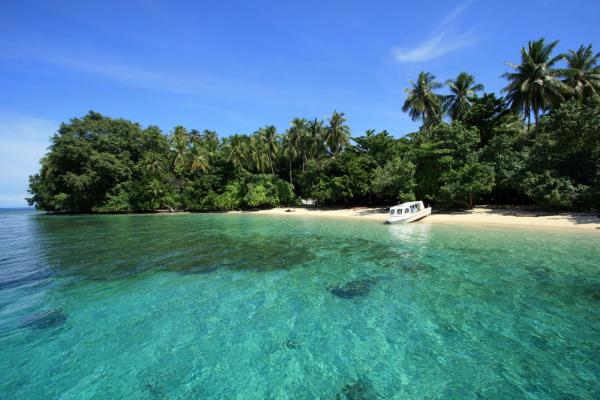 Cenderawasih Bay: A marine park with opportunities to swim with whale ...