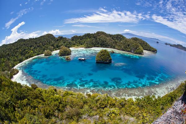 Cenderawasih Bay: A marine park with opportunities to swim with whale ...