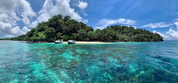 Cenderawasih Bay: A marine park with opportunities to swim with whale ...