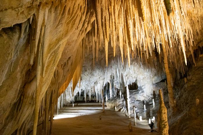 Hastings Caves and Southern Forest - a journey to Far South Tasmania