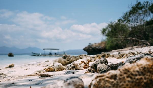 Menjangan Island is a small island